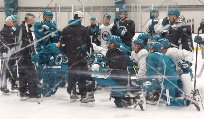 Birth of a New Season Brings Hope for Sharks